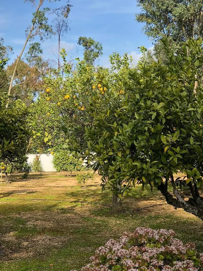 Quinta Verde Albufeira Vakantiehuis